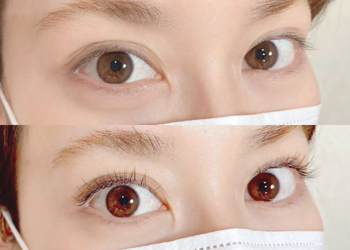 フラットマットラッシュ120本